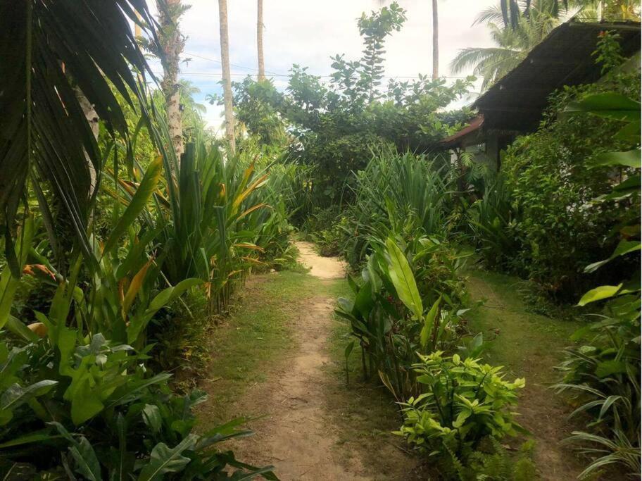 Hotel Secret Spot Siargao General Luna  Exterior foto